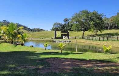 Imagem 16: Fazenda de 23.5 Alqueires a 105 km de Goiânia pega 50 em trama