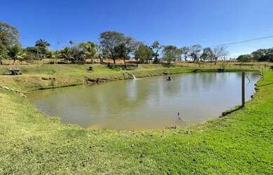 Imagem 13: Chácara de luxo em Trindade-Go 7.68 alqueires