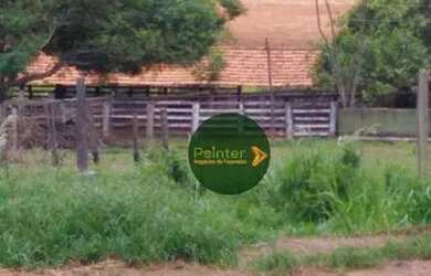 Imagem 12: Fazenda à venda, 10696400 m² por R$ 95.000.000,00 - Zona Rural - Palestina...