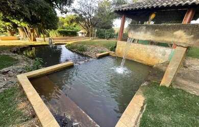 Imagem 2: Chácara de luxo em Trindade-Go 7.68 alqueires