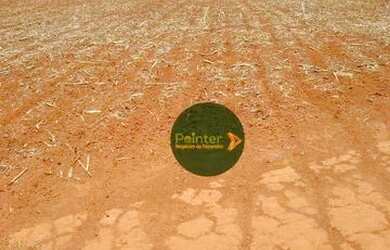 Imagem 2: Fazenda à venda, 10696400 m² por R$ 95.000.000,00 - Zona Rural - Palestina...