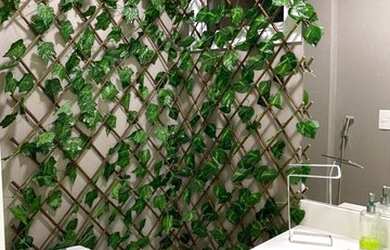 Imagem 14: GOVERNADOR CELSO RAMOS - Apartamento Padrão - Palmas do Arvoredo