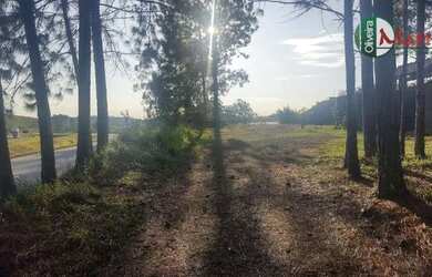 Imagem 5: Terreno à venda, 5000 m² por R$ 1.600.000 - São Pedro - Jf