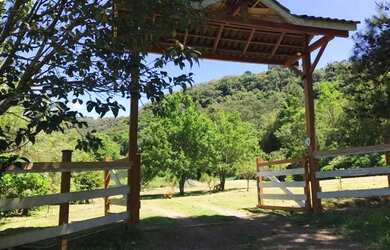 Imagem 13: Sítio - Bairro Carazal. 111.900m² de Área