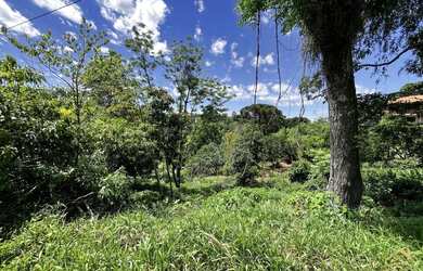 Imagem 7: Terreno para fins residencial ou comercial no bairro Pousada da Neve em...