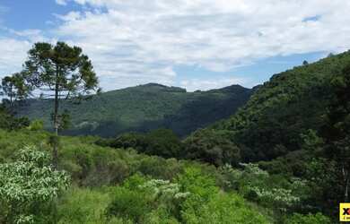 Imagem 5: Sítio / Chácara para Venda em Nova Petrópolis, Feliz lembrança, 2...