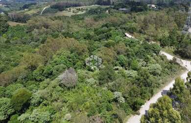 Imagem 3: Terreno no bairro Forqueta em Caxias do Sul