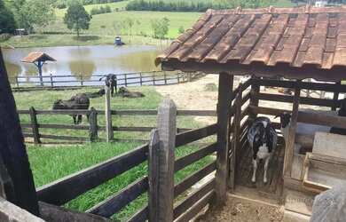 Imagem 7: Sítio para venda próximo a São Lourenço MG