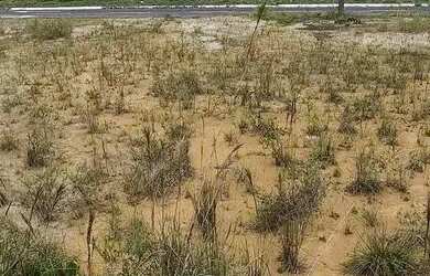 Imagem 6: Marina Rio Bello. 600m² de Área