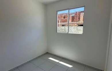 Imagem 5: Repasse pau amarelo