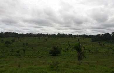 Imagem: A fazenda possui 300.000m² de Área Privada e está localizado