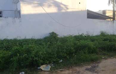 Imagem 4: Terreno em Rio Doce 12 x 25 escriturado e registrado