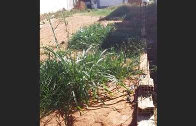 Imagem 6: TERRENO JD EUROPA. 