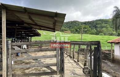 Imagem 2: Fazenda 31,5 alqueires 153 hectares em Hidrolândia - GO