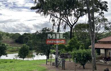 Imagem 9: Fazenda 31,5 alqueires 153 hectares em Hidrolândia - GO