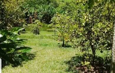 Imagem: A fazenda possui 100m² de Área e está localizado em Centro