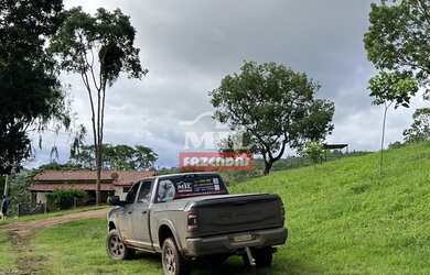Imagem 3: Fazenda 31,5 alqueires 153 hectares em Hidrolândia - GO