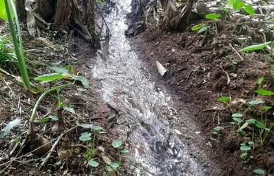 Imagem 4: Fazenda 1.5 alqueires. 7.800m² de Área