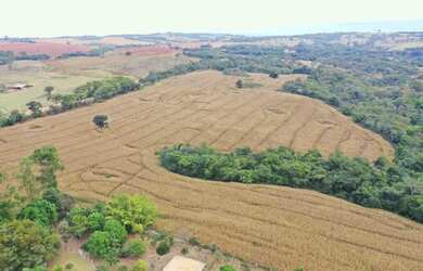 Imagem 4: Fazenda a venda, em Santa Cruz de Goiás