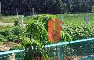 Imagem 12: Casa com 3 dormitórios à venda, 45 m² por R$ 450.000,00 - Arroio Seco...