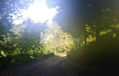 Imagem 7: ÓTIMO SÍTIO EM GRAMADO PARA SE INVESTIR