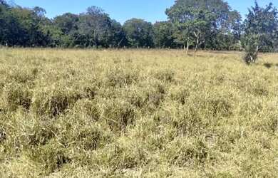 Imagem 3: Imóvel para venda possui 329000 metros quadrados em Zona Rural - Arinos...