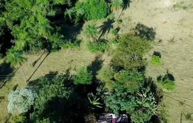 Imagem 2: Sítio 57hectares Café Arábica Jeriquara