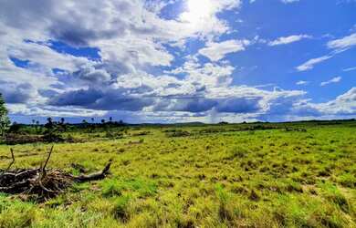 Imagem: A fazenda possui 580000000m² de Área e está localizado em