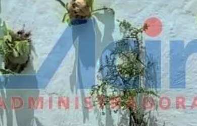 Imagem: A casa possui 5 Dormitórios, 5 Banheiros, 1 Vaga na garagem