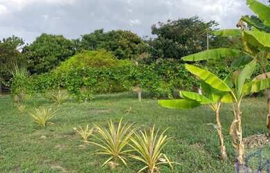 Imagem 5: SITIO RURAL em PORTO FELIZ - SP, porto