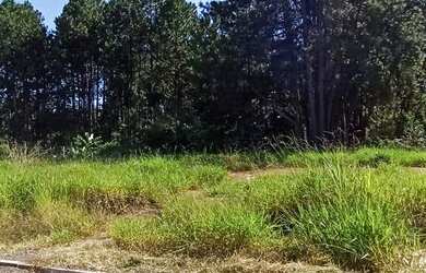 Imagem: O terreno possui 300m² de Área, Imóvel novo e está localizado