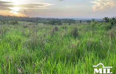 Imagem 4: Fazenda em Goianésia do Pará. > 214 Alq. (1.036 Há