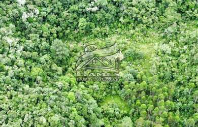 Imagem 14: Terreno Rural para Venda em Angelina, BETANIA