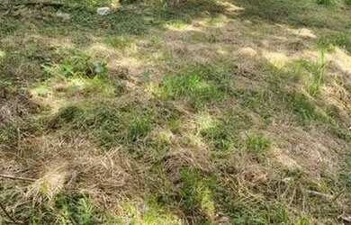 Imagem 4: OTIMO TERRENO PARA INCOORPORAÇÃO