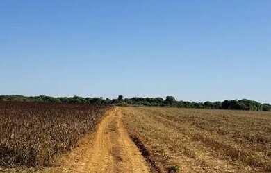 Imagem: A fazenda e está localizado em Porangatu, GO à venda por R$12.000.000