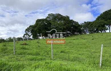 Imagem 7: Fazenda 31,5 alqueires 153 hectares em Hidrolândia - GO