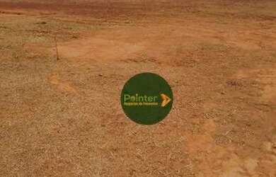 Imagem 6: Fazenda à venda, 10696400 m² por R$ 95.000.000,00 - Zona Rural - Palestina...