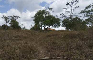 Imagem 7: Sitio à venda. 