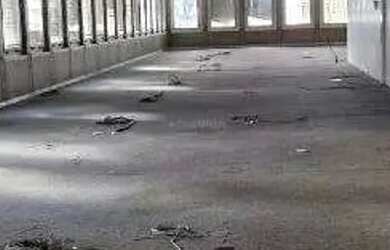 Imagem 13: Andar corrido para aluguel, 4 vagas, Santo Agostinho - Belo Horizonte/MG