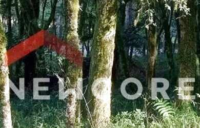 Imagem: O terreno possui 750m² de Área e está localizado em Canela