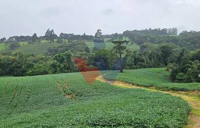 Imagem: A fazenda possui 79.000m² de Área e está localizado em Contenda