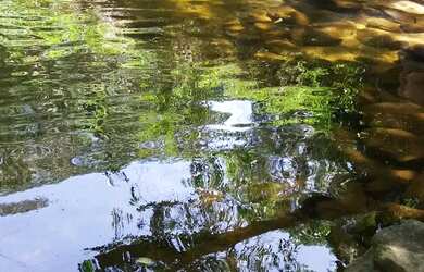 Imagem: A casa possui 3 Dormitórios, 4 Vagas na garagem e 250m² de