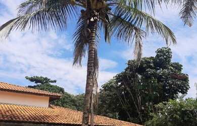 Imagem 3: JAGUARIÚNA - RESIDENCIAL - NÚCLEO URBANO PARQUE ANA HELENA