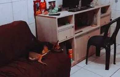 Imagem 1: troca se casa por uma maior