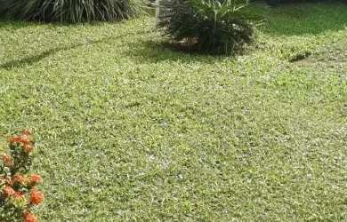 Imagem 16: Alugo casa temporada