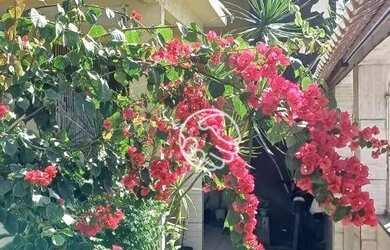 Imagem: A casa em condomínio possui 3 Dormitórios, 2 Banheiros, 1