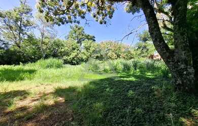 Imagem: O terreno possui 5.970m² de Área e está localizado em Campinas