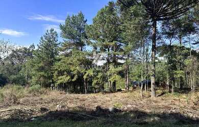 Imagem 2: TERRENO EM LOTEAMENTO DE GRAMADO