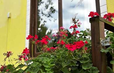 Imagem 8: A Casa amarela da Cachoeira