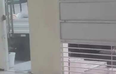 Imagem 9: Imóvel para aluguel possui 250000 metros quadrados com 3 quartos em Aleixo...